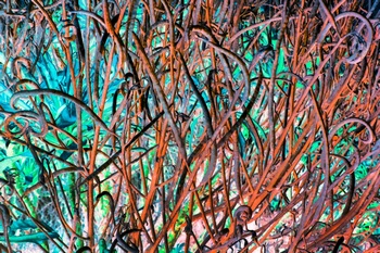 N 230F